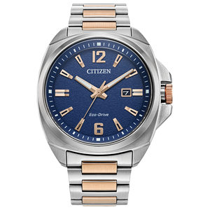 One Gents Two-Tone Stainless Steel Citizen Eco-Drive Sport Luxury Watch