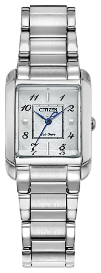 Stainless Steel Citizen Eco-Drive Watch – Turgeon Jewelers display picture 2