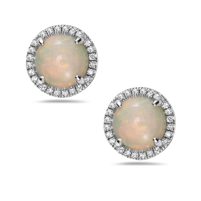 Ladies 14k White Gold Opal Earrings.