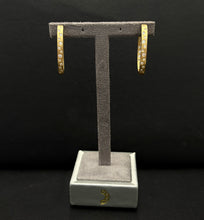 Load image into Gallery viewer, 14k Yellow Gold Diamond Flush Set Oval Hoop Earrings
