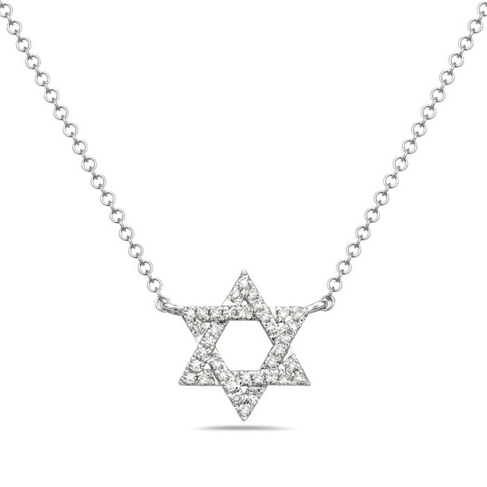 14k White Gold Diamond Star of David Necklace