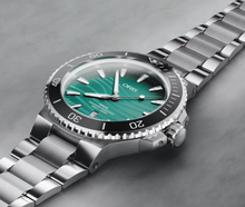 Load image into Gallery viewer, Oris Automatic Yangtze Jiangtun Limited Edition Watch
