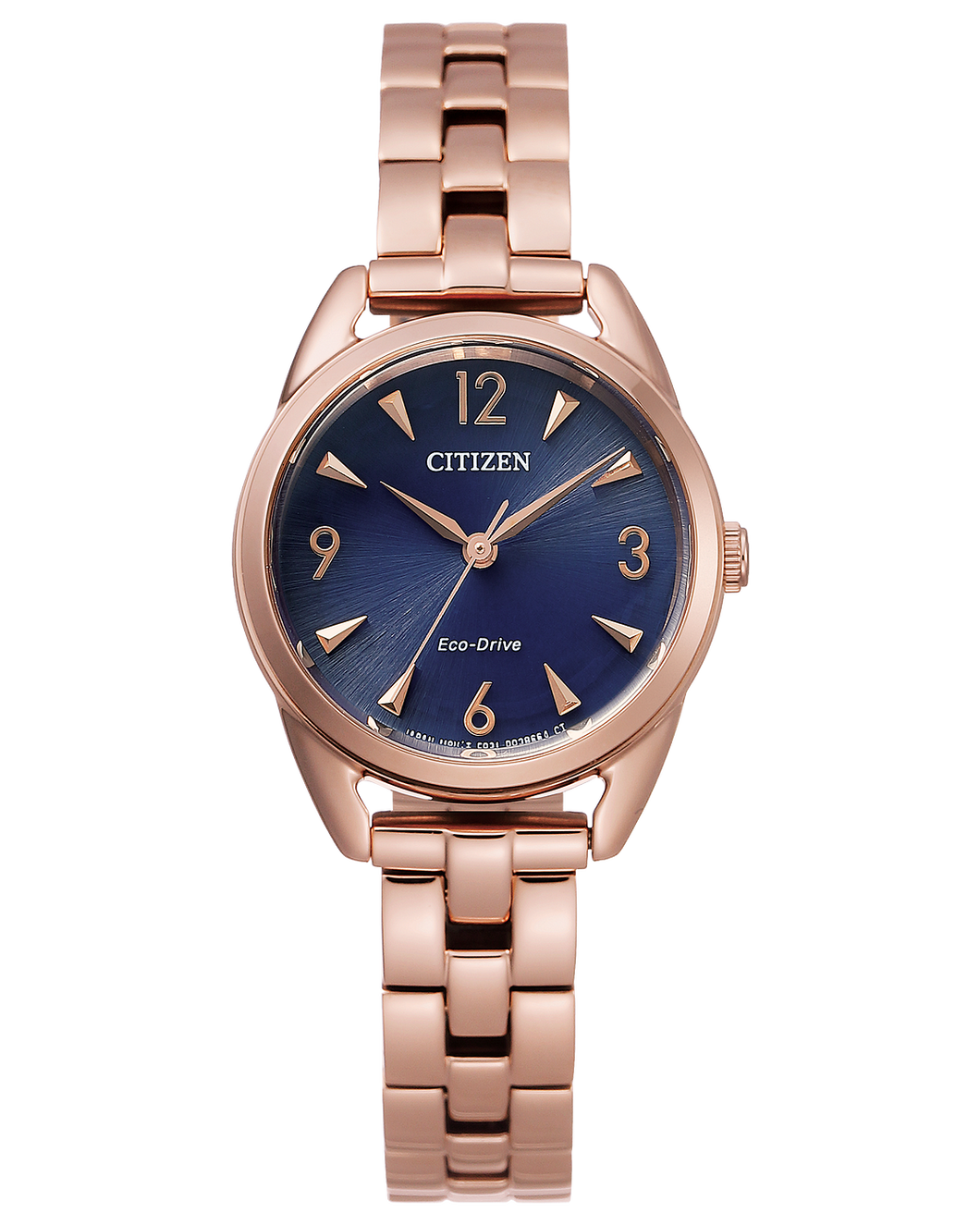 Stainless Steel Citizen Eco-Drive Watch (27 mm)