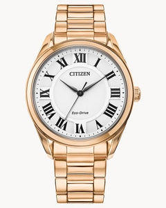 One Ladies Stainless Steel Citizen Eco-Drive Watch