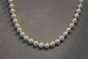 18 Inch 7.5mm Japanese Akoya Pearl Strand with White Gold Clasp