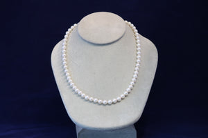 18 Inch Strand of 6.5mm Freshwater Pearls with a 14k Yellow Gold Clasp