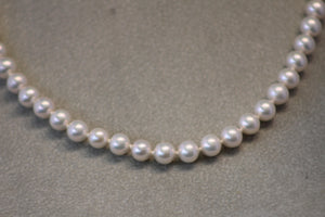 18 Inch Strand of 6.5mm Freshwater Pearls with a 14k Yellow Gold Clasp